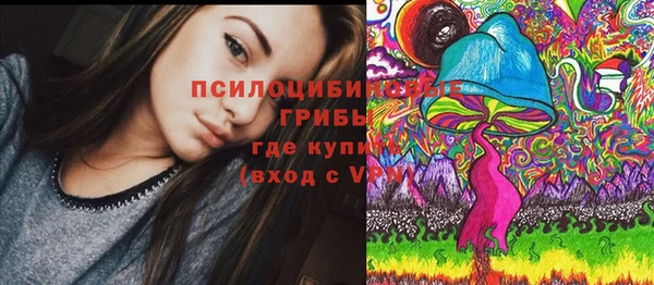 гидра Алзамай