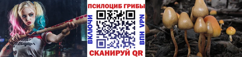 darknet телеграм  Ленинск-Кузнецкий  ссылка на мегу маркетплейс  Галлюциногенные грибы Magic Shrooms  цены  